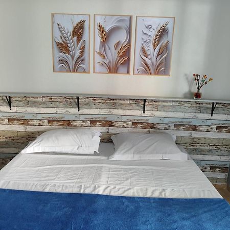 Alpha Hospedaria & Hostel Londrina Kültér fotó